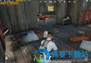 吃鸡新爆料最新视频,最新视频曝光，全新玩法与惊喜等你来探索！  第2张